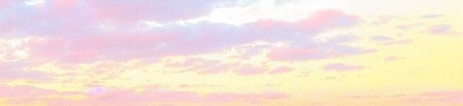 こいぬこ's header image