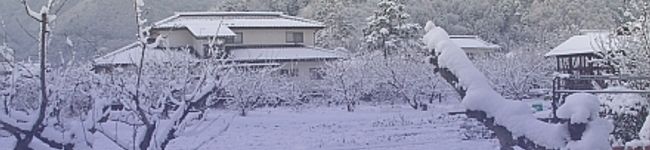 みゃじま's header image