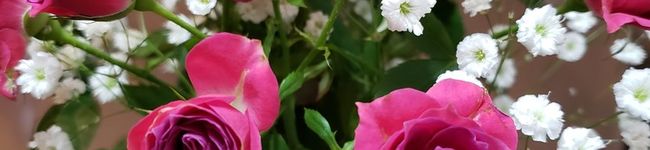 To_Daa_Rii's header image