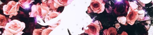 ‍すぴ's header image