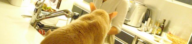 Chizupochi's header image