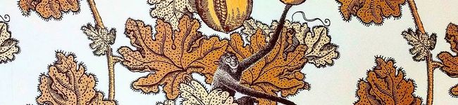 arinana's header image