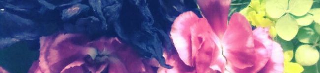 扇子＊'s header image