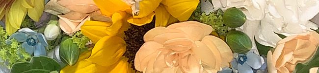 suzubaba's header image