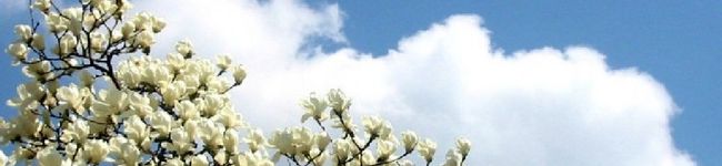 kouchan2008's header image