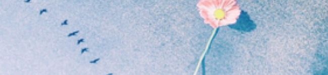 ぴっち。's header image