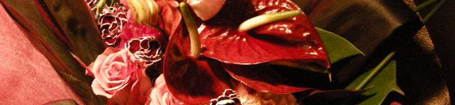 uri2215's header image