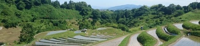 千早赤阪村's header image