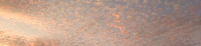 穂馨🌸's header image