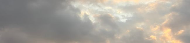 3月ちゃん's header image