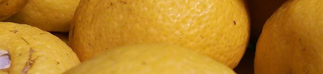 よしペン's header image