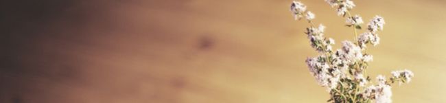szmrk_97's header image