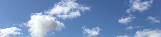 eichinchin's header image
