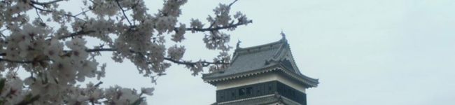 アークライナス's header image