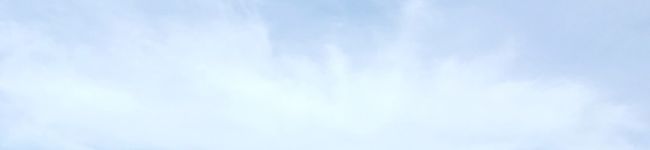 働く主婦ゆっちさん's header image