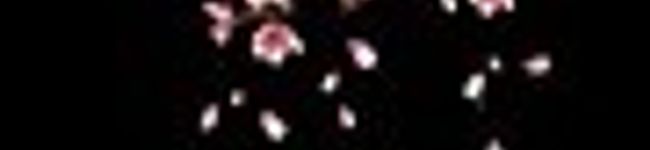 rinpuyenya's header image
