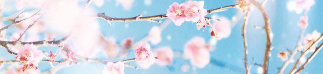 あきにゃん72's header image