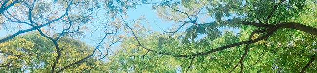 naonao0620's header image