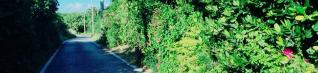 badshizu's header image