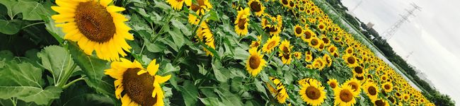 machan0228's header image
