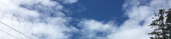 ✤eri✤'s header image