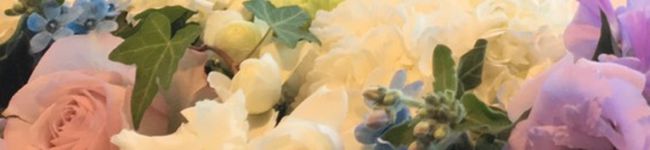 ☆keeero☆'s header image