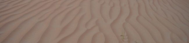 ｃhocolat's header image