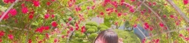 ゆりびん's header image