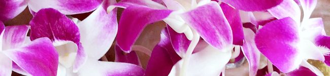 ♡maixxtm♡'s header image