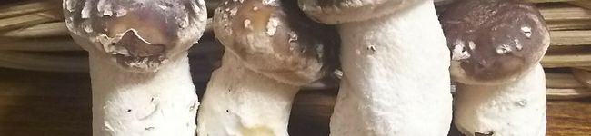 RingoJuice's header image