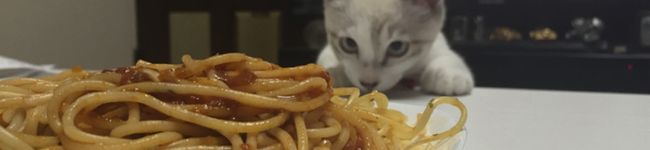 珀くん's header image
