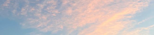 んぽぽ's header image