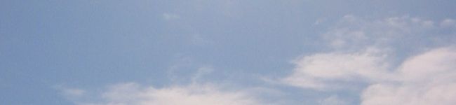 ちび515's header image