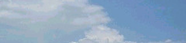アイヤル's header image
