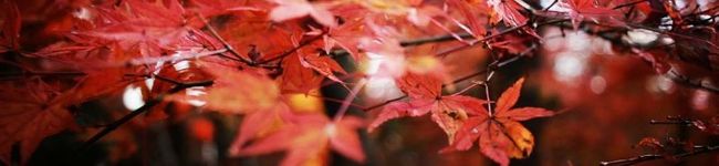 maimy822's header image