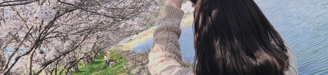 みみぃすと's header image