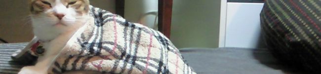*nachu*'s header image