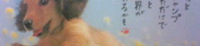 hanibani3's header image