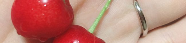 ♪pipipi's header image