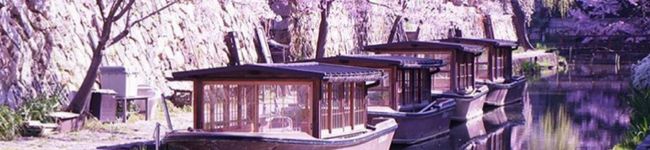 CHERRY1117's header image