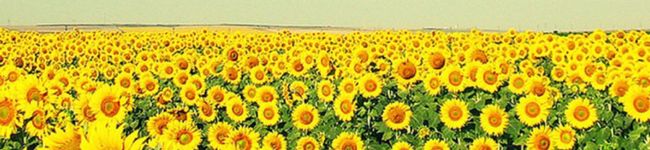 ★MIRI☆'s header image