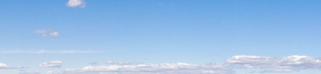 ☆まさみ's header image