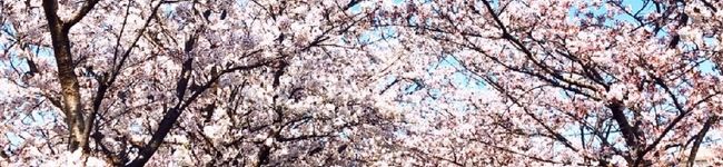 akiaki•ө•♡'s header image
