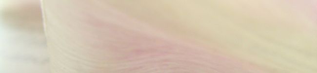 ことりの裏庭's header image