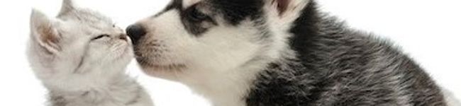 **モニこ**'s header image