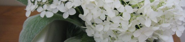 らこママ's header image
