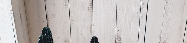 Mmmmau's header image