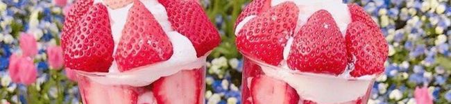 ❁﻿ふわり❁﻿'s header image