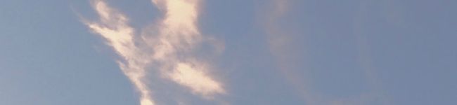 sakura__k's header image
