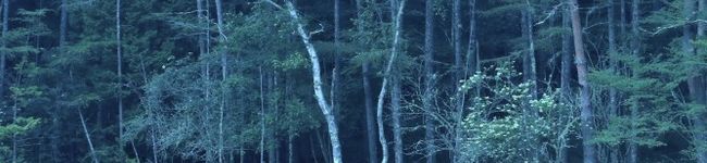 さよまさ's header image